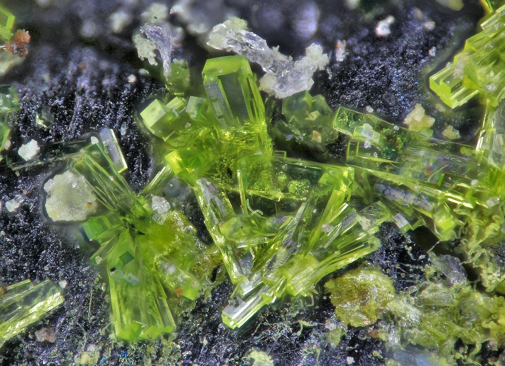 Ammoniomathesiusite
