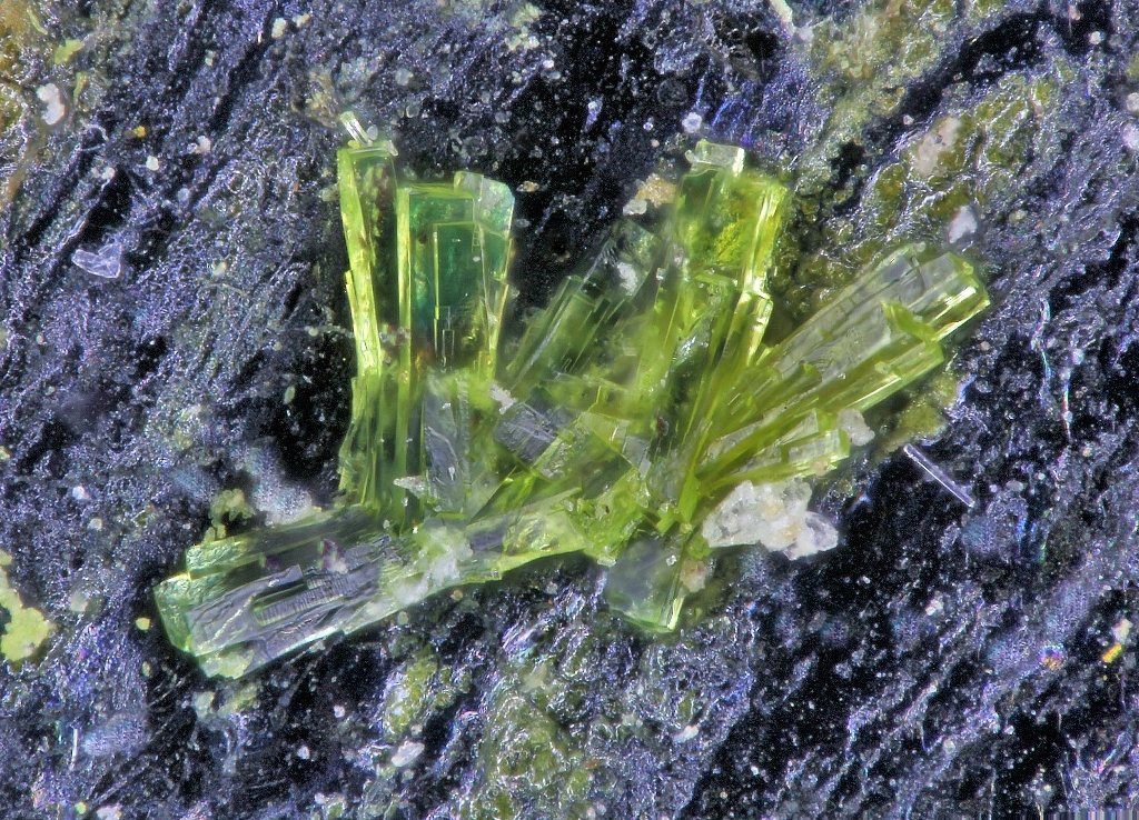 Ammoniomathesiusite