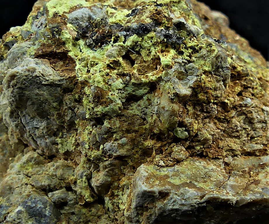 Dewindtite