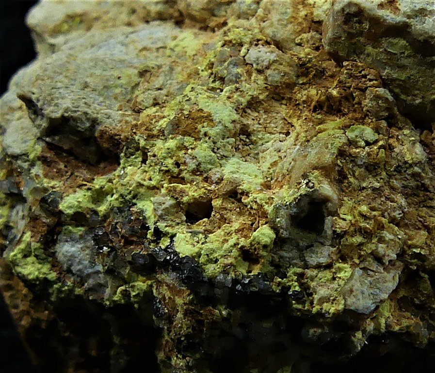 Dewindtite