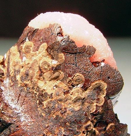 Rhodochrosite & Neotocite