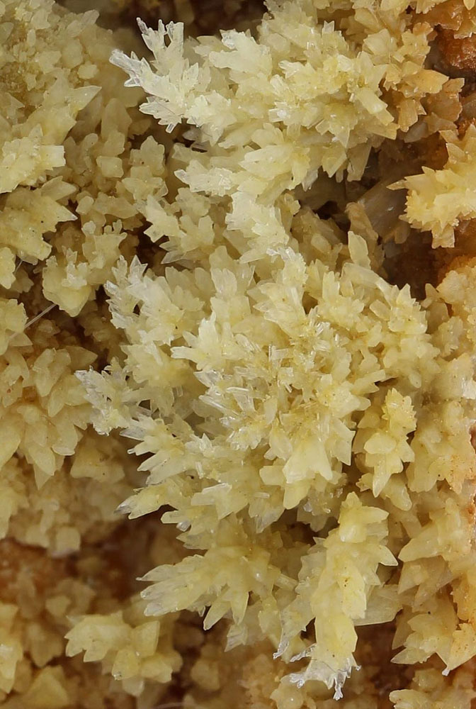 Aragonite & Gypsum