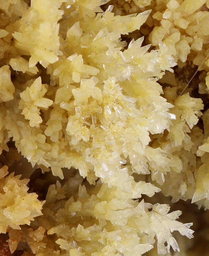 Aragonite & Gypsum