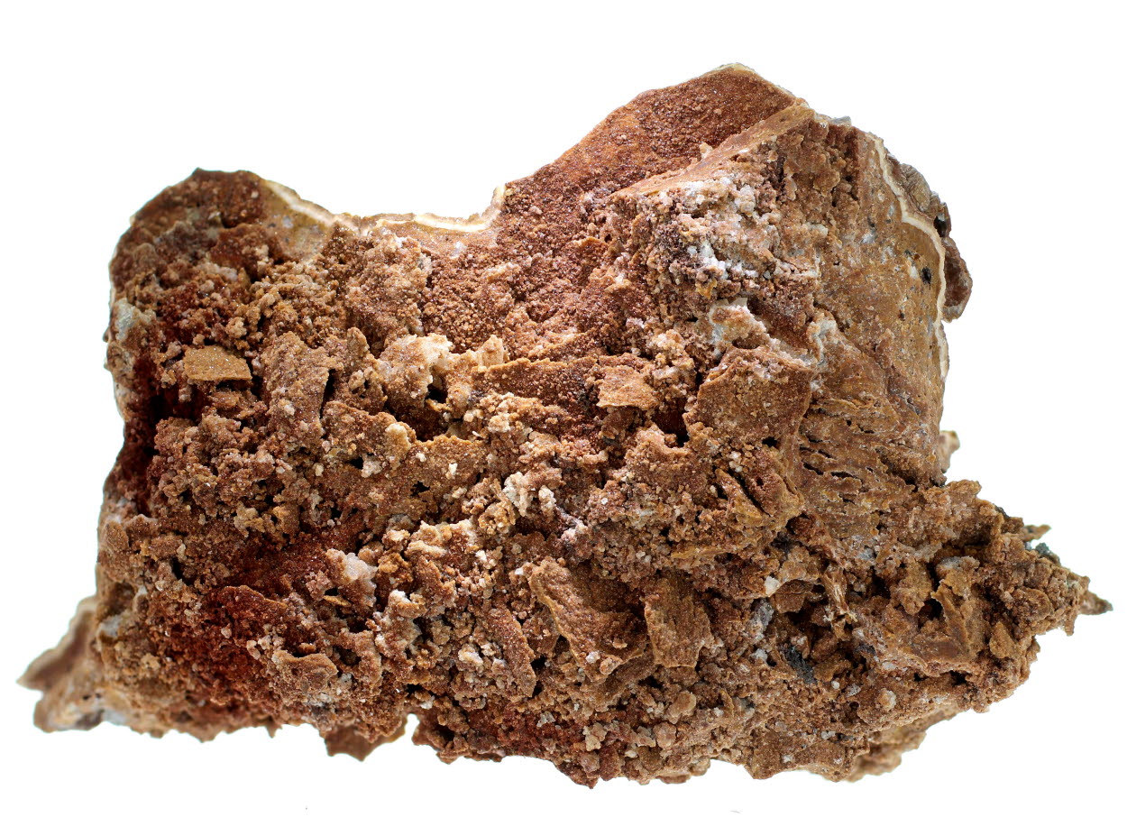 Dolomite Shell