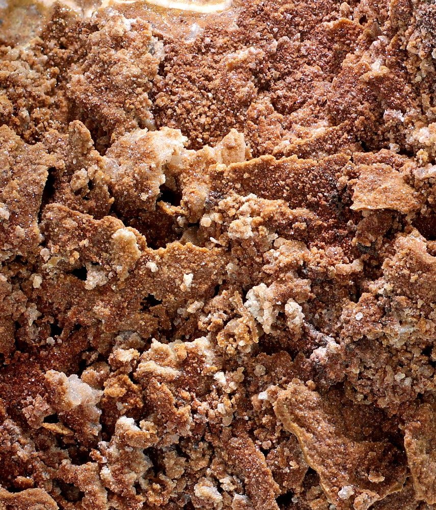 Dolomite Shell