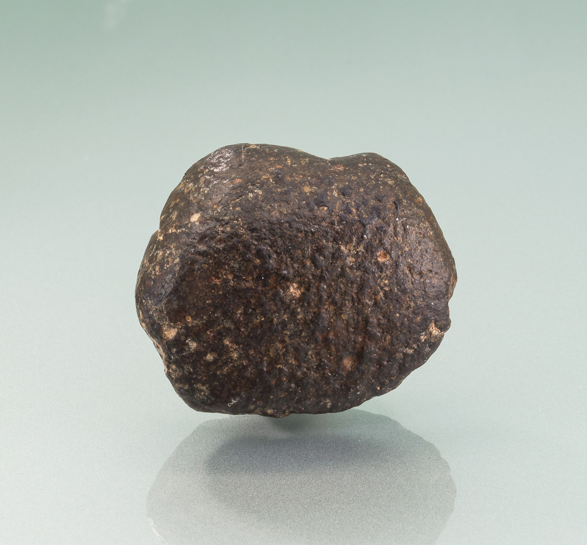 Meteorite Var NWA