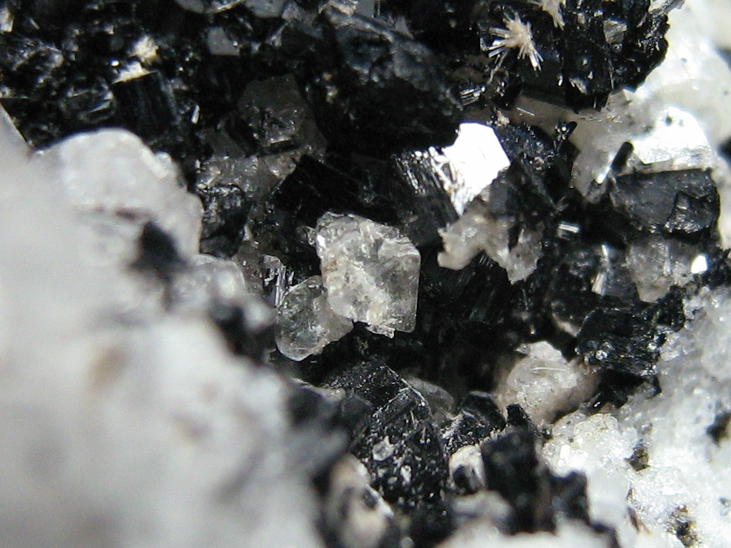 Fluorite Apatite & Hornblende