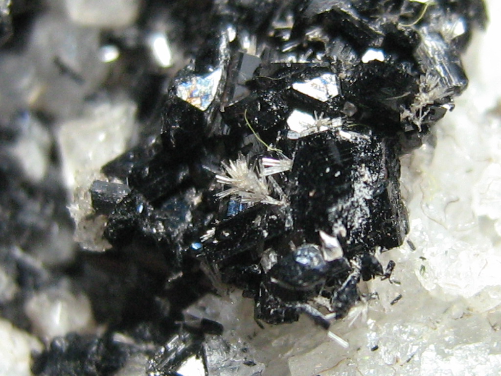 Fluorite Apatite & Hornblende