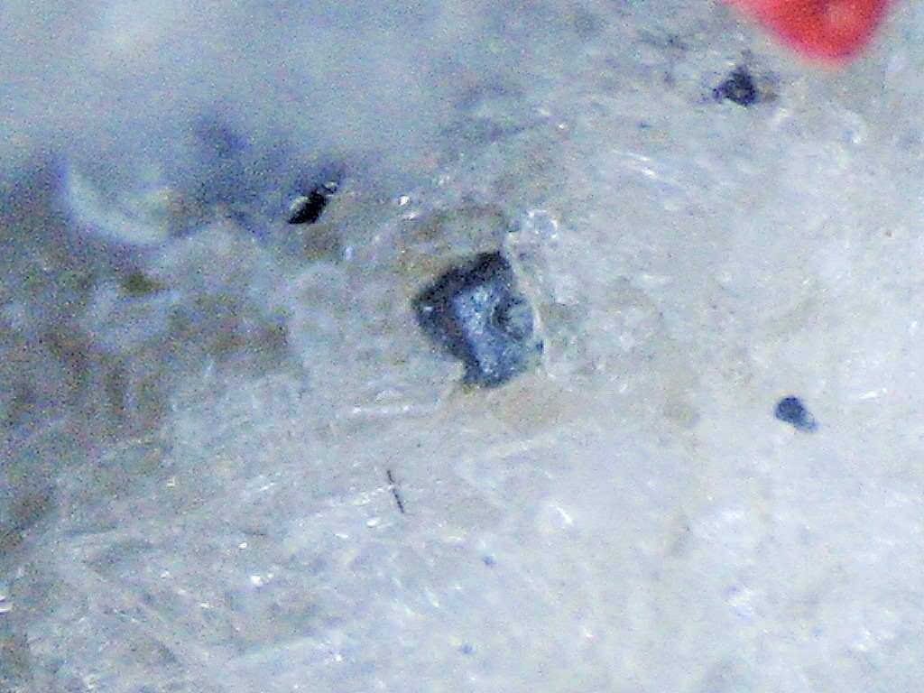 Thorianite