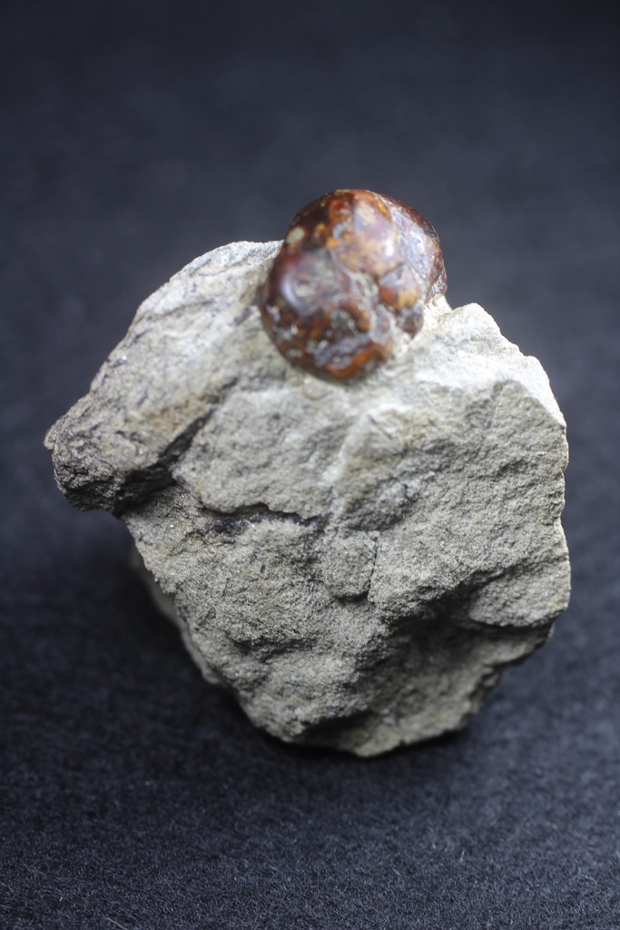 Amber