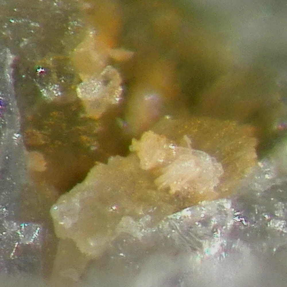 Ichnusaite & Nuragheite
