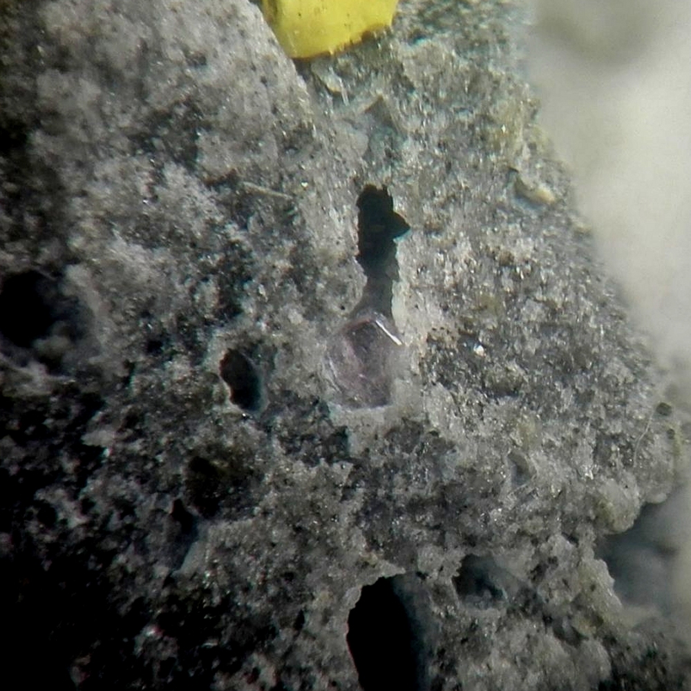Lanthanite-(Nd)