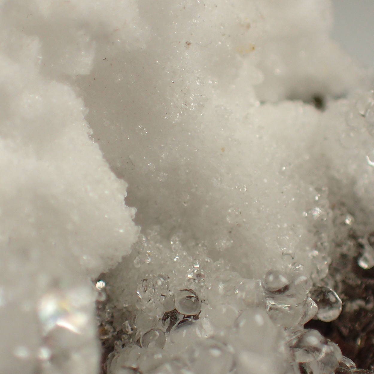 Hyalite & Aragonite