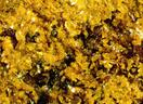 Album: Decavanadate Minerals Unplugged