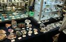 Album: Bakewell Show 2015