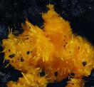 Album: Decavanadate Minerals Unplugged