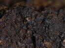 Album: Decavanadate Minerals Unplugged