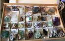 Album: New Collection at TVM