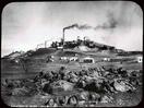 Album: Magnificent Broken Hill Collection & Obstruction of a Sub-Inspector by a Publican