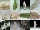 Album: Volcanic Liquorice & Giant Squid - Eating a Salammoniac Mineral Specimen