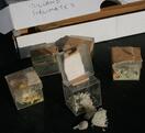 Album: Volcanic Liquorice & Giant Squid - Eating a Salammoniac Mineral Specimen