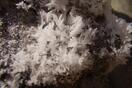 Album: Volcanic Liquorice & Giant Squid - Eating a Salammoniac Mineral Specimen