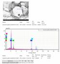 Album: Analytical Investigations - Weishanite, a new mineral for the Keystone mine, Magnolia District, Colorado, USA