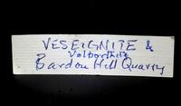Nick Bartlet label