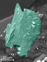 Other photos of the mineral: Andychristyite