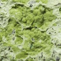 Varlamoffite With Libethenite