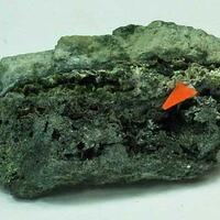 Lautite