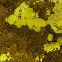 Mimetite