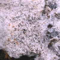 Angastonite