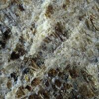 Bornemanite