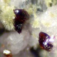 Bermanite & Kidwellite