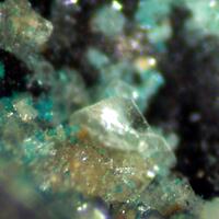 Matlockite & Boleite