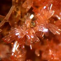 Miguelromeroite
