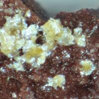 Phyllotungstite