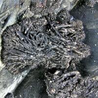 Lautite On Tennantite