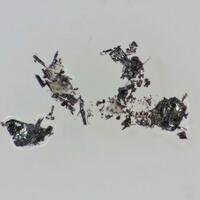 Ramosite