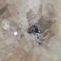 Tungstenite