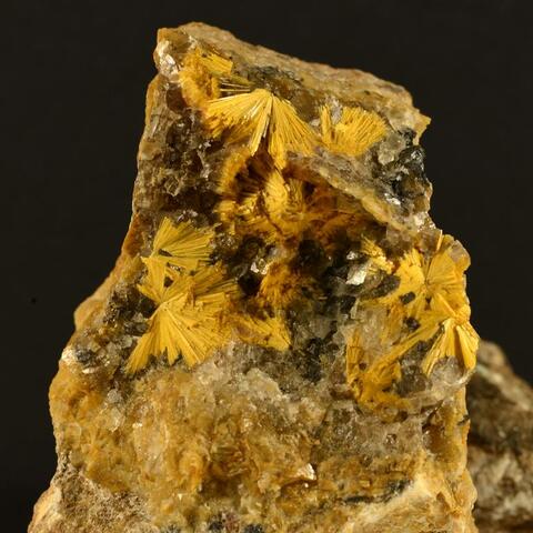 Mineral Images Only: Boltwoodite