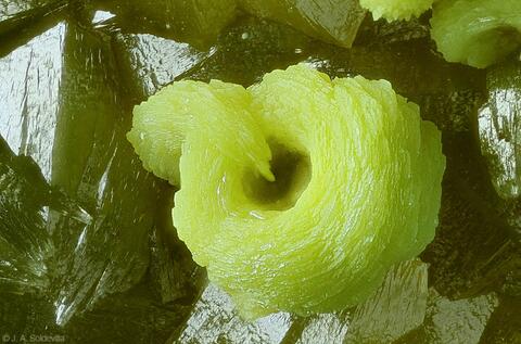 Mineral Images Only: Pyromorphite