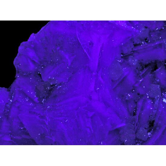 Fluorite & Scheelite