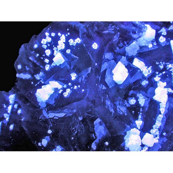 Fluorite & Scheelite