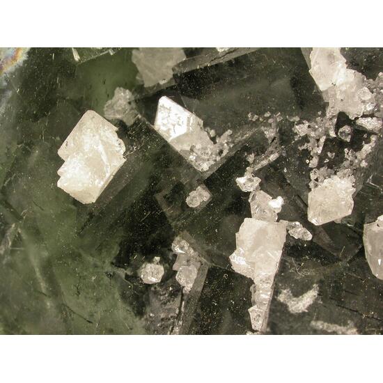 Fluorite & Scheelite