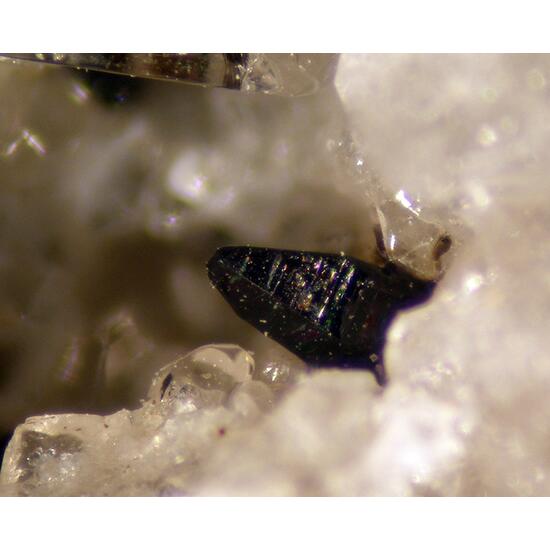 Allanite-(Ce) & Sodalite