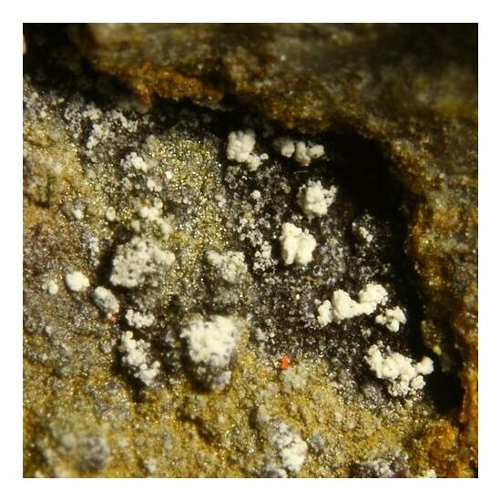 Arsenogoyazite & Barahonaite-(Fe)