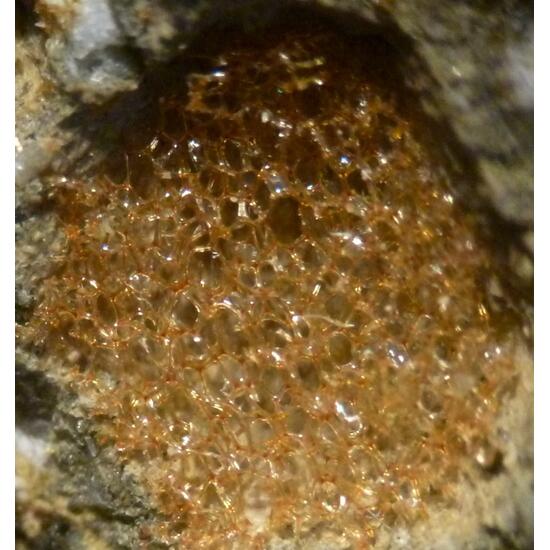 Reticulite & Epistilbite