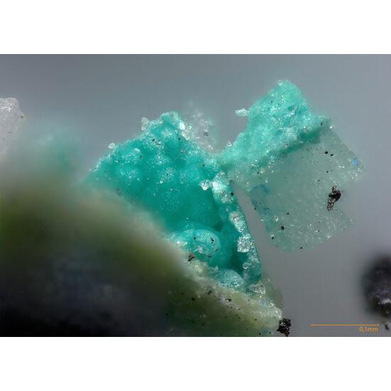 Cervelleite & Tlapallite
